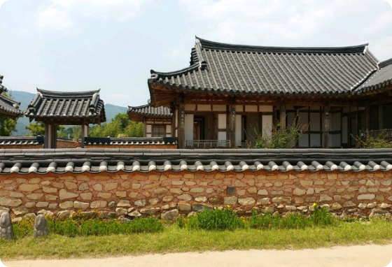 [ 단편 ] 하나의 벚꽃같았던 너  thumbnail