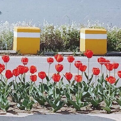 피디 image