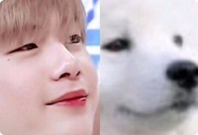 멍뭉다니엘 thumbnail