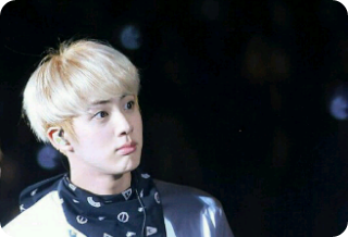 귀여운 햄스터 이름은 석찌 thumbnail