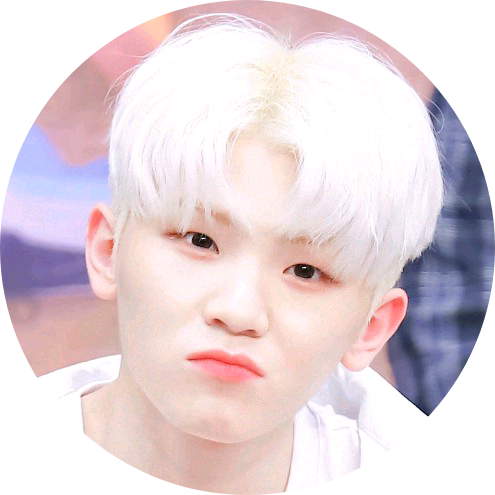 Woozi image