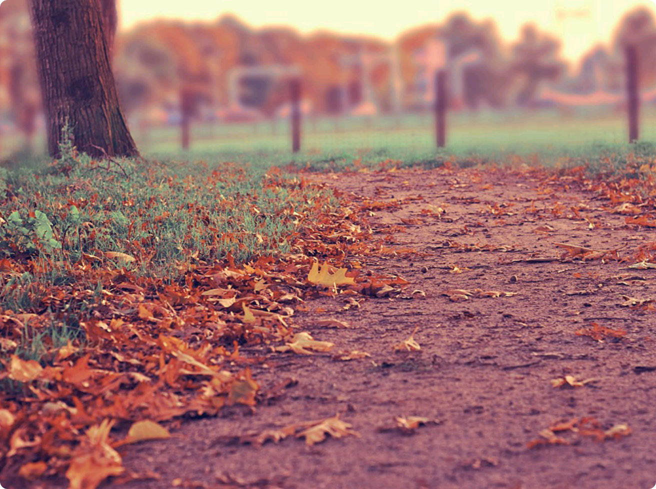 Kemarilah_: thumbnail