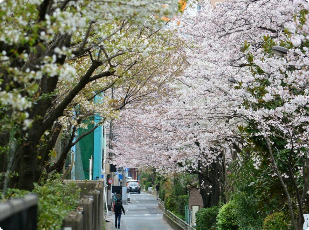 我暗恋一个人。 thumbnail