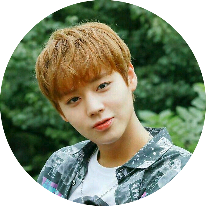 박지훈 image