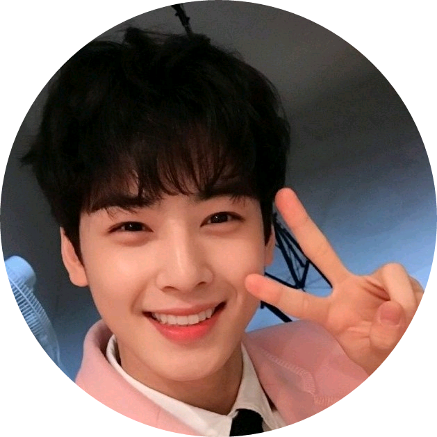 차은우(호위무사) image