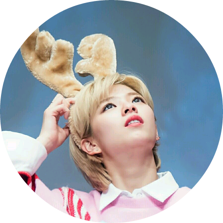 노잼형 정연 image