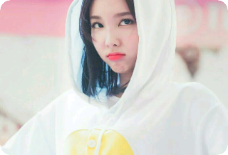 Twice in Animal Kingdom thumbnail