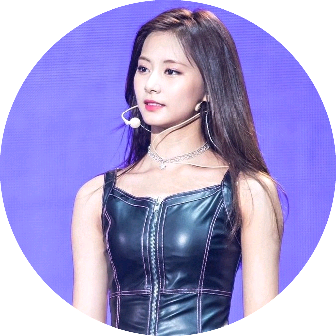 무리 리더 쯔위 image