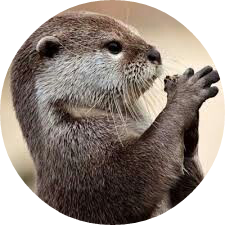 수달 image