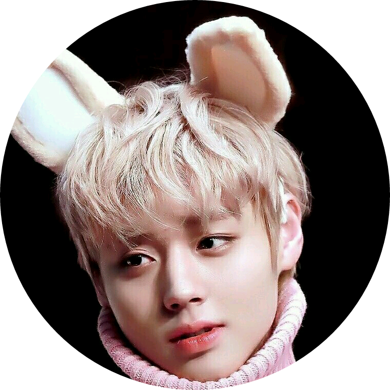 박지훈 image