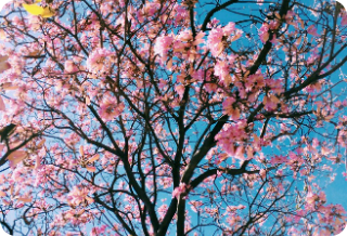 너를 사랑해도 될까? thumbnail