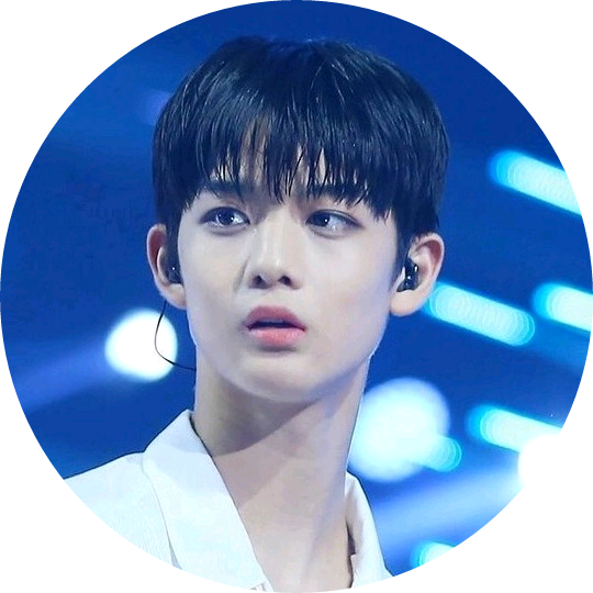 배진영 image