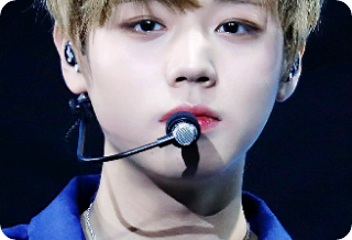 워너원의 생활 thumbnail