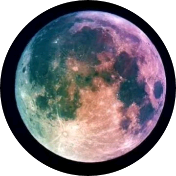 달달이들♡ image
