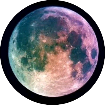 달달이들♡ image