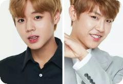 시들지않는 연꽃 thumbnail