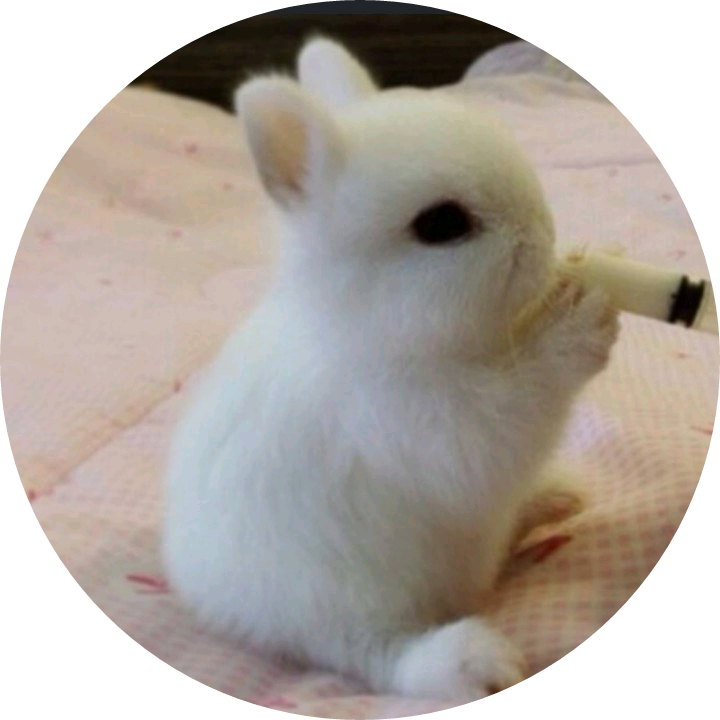 민윤기(토끼) image