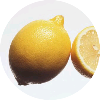 lmb 기획사 사장 image