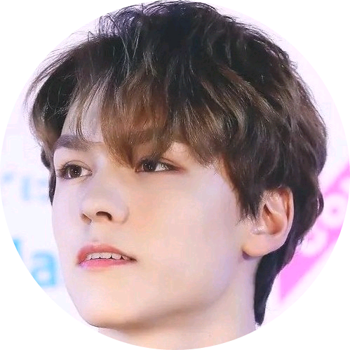 최한솔(버논) image