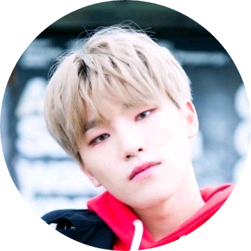 이찬(디노) image