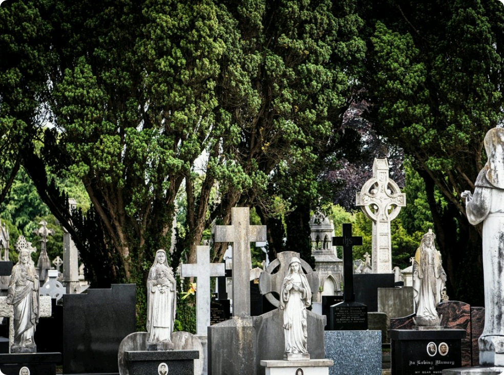 유령의 집 thumbnail