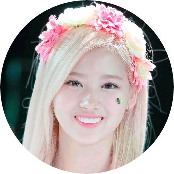 사나쌤 image