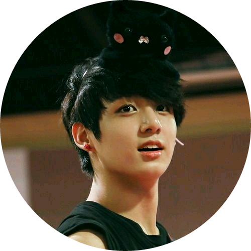 정국(전정국)고1 image