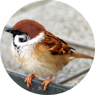 블랙(우진) image