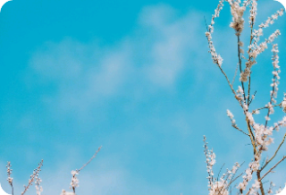 월하정인 - 진달래 꽃 떨어지면 thumbnail