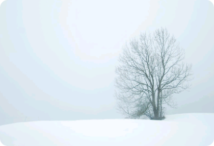 금지된 사랑 thumbnail