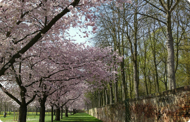 [ 공모전 ] 정국이의 갑작스러운 변화 ?!?!?! thumbnail