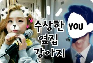 수상한 옆집 강아지 thumbnail