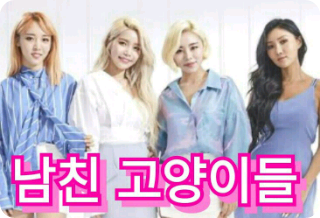 남친 고양이들 thumbnail