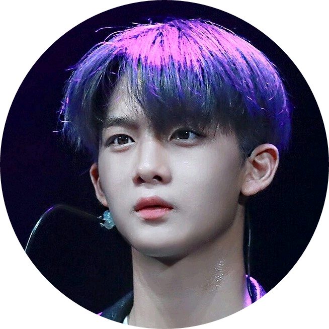 배진영 image