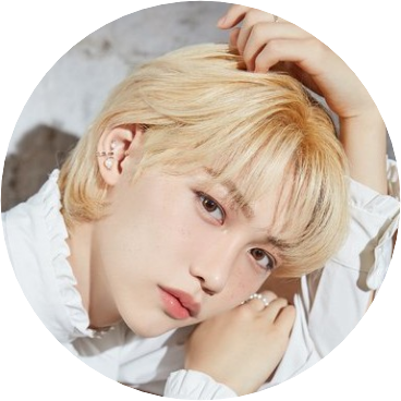 필릭스(어둠)10살 image