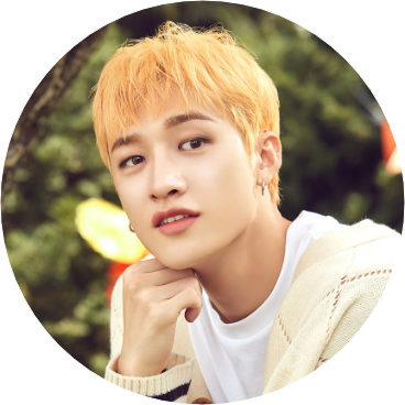 방찬(15세) image