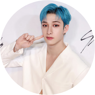 방찬(아이돌) image