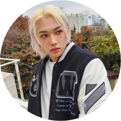 필릭스(아이돌) image