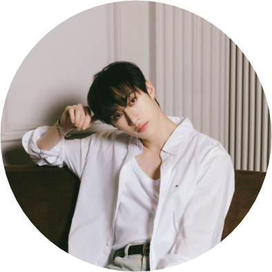 방찬 image