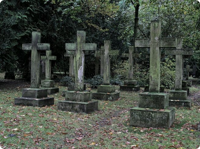 Bố mẹ của Momo thumbnail