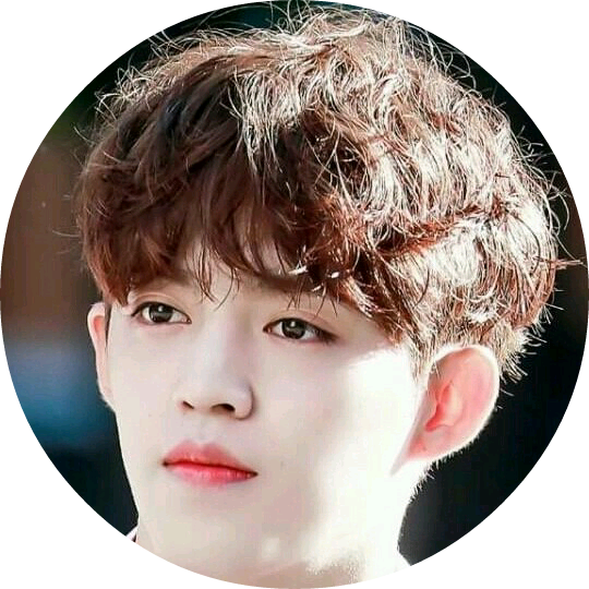 승철이약혼자 image