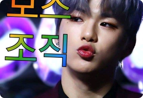 ボス組織   thumbnail