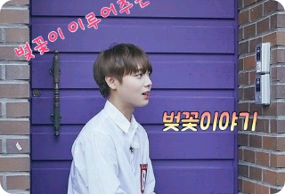 벚꽃이야기 thumbnail