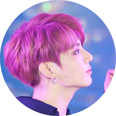 (호위무사)정국 image