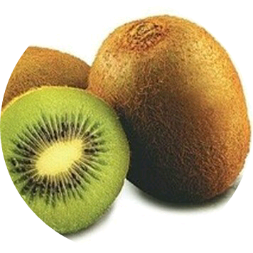 수영 image