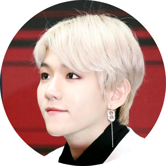 변백현 image
