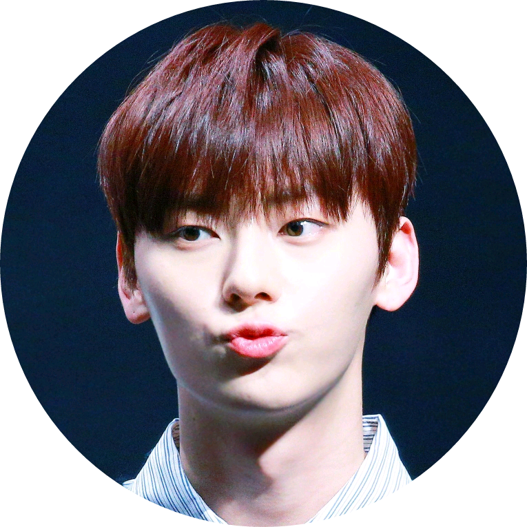 황민현 image