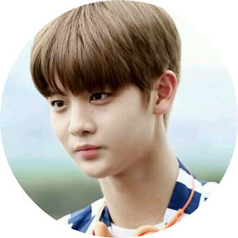 배진영 image