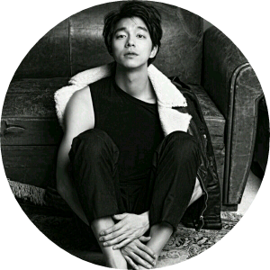 미국스파이보스 image