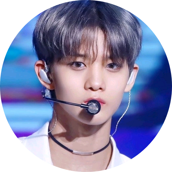 배진영 image